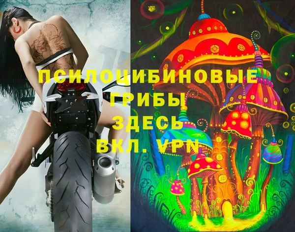 крисы Лагань