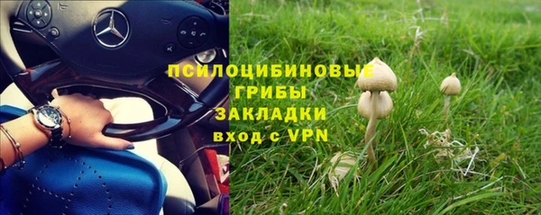 ALPHA PVP Липки