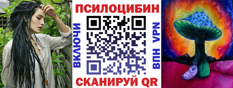 Купить где  Новоаннинский  Псилоцибиновые грибы Psilocybe 